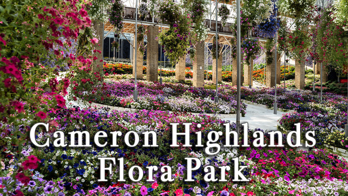 【Review】Cameron Highlands Flora Park