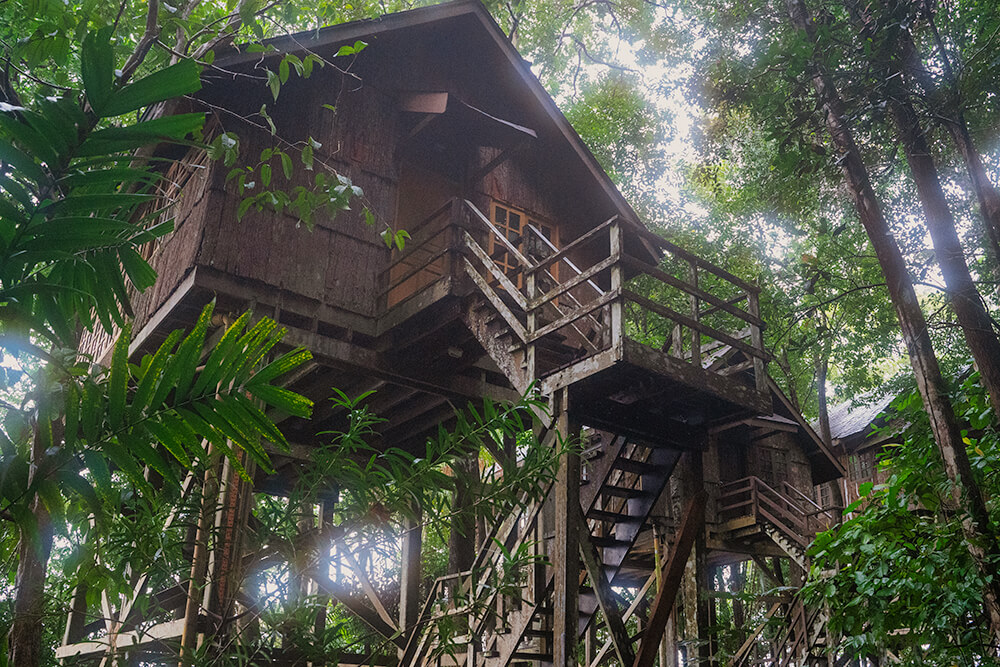 tree house in permai rainforest resort