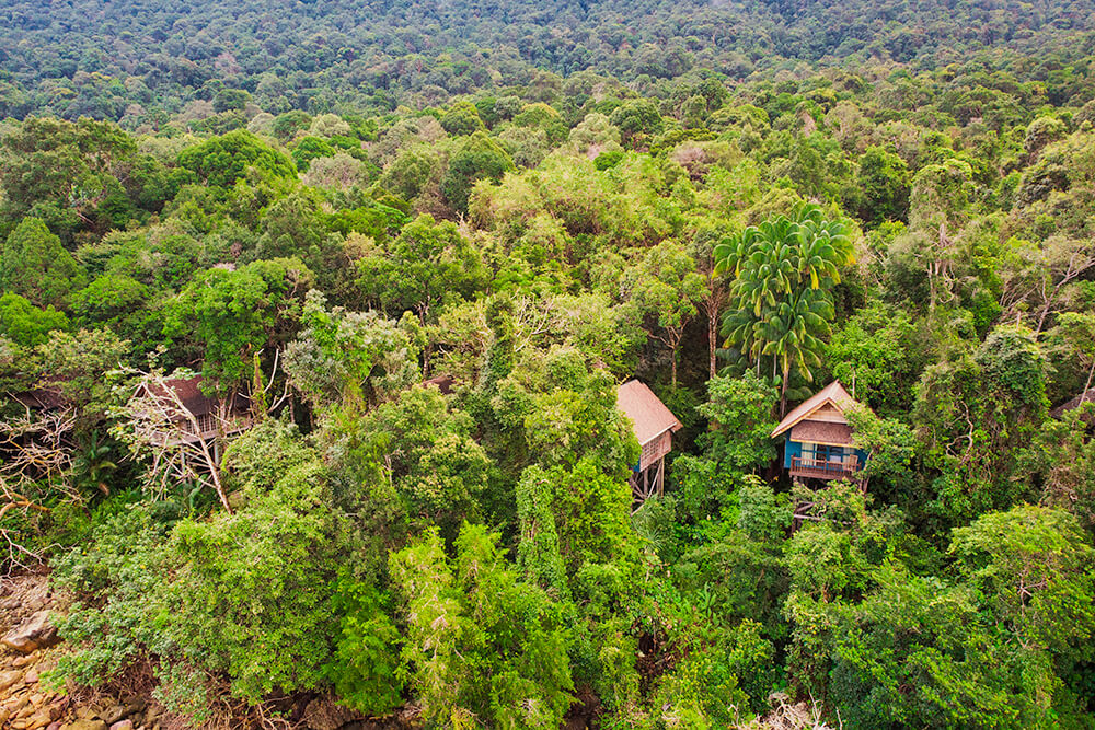 permai rainforest resort