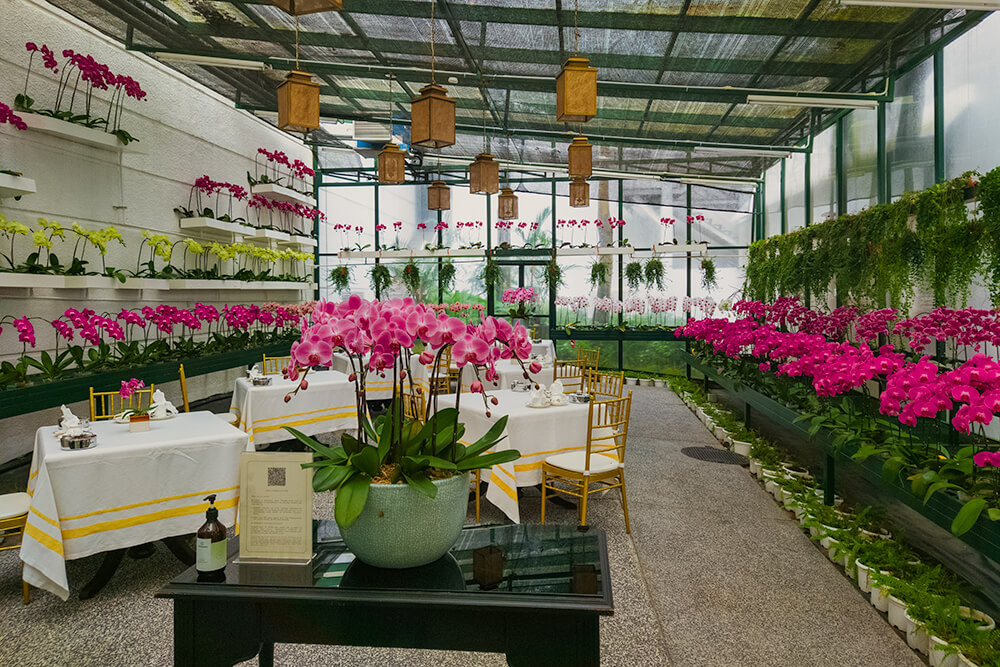 The Orchid Conservatory at The Majestic Hotel Kuala Lumpur