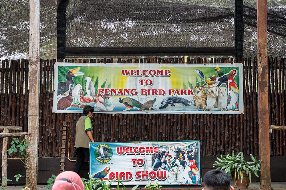 Penang bird park show