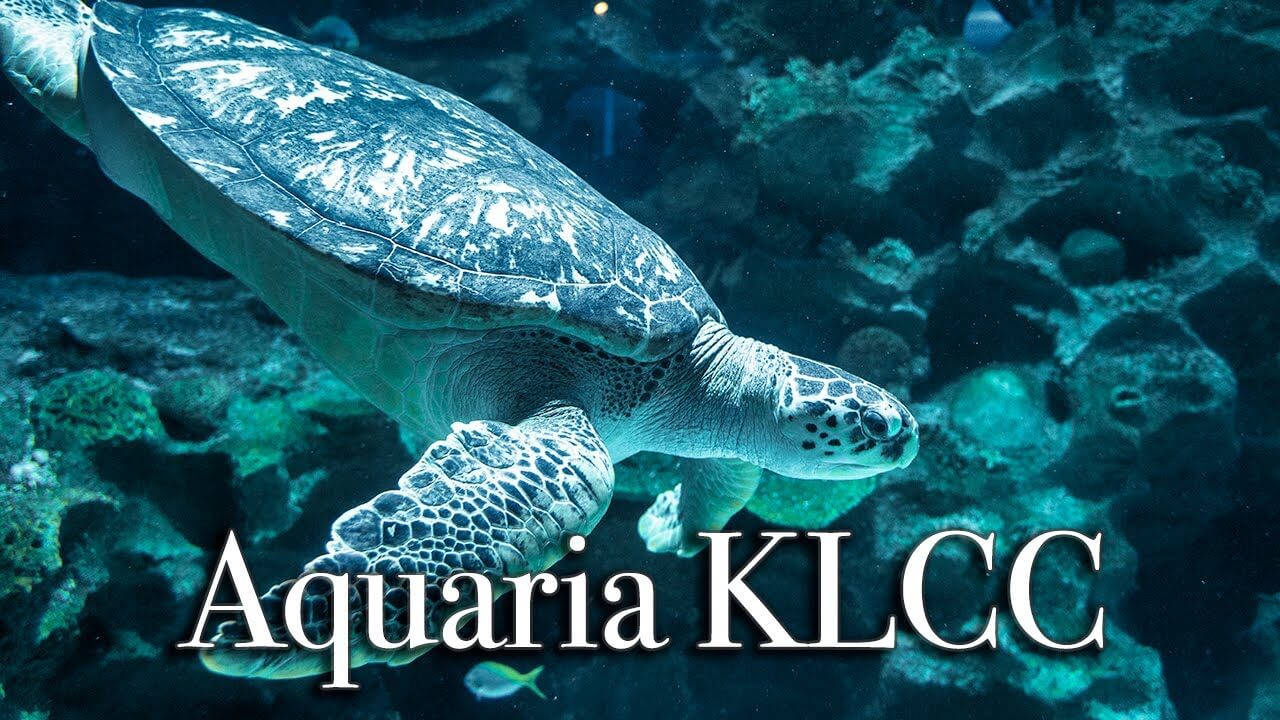【Review】Aquaria KLCC Kuala Lumpur Malaysia