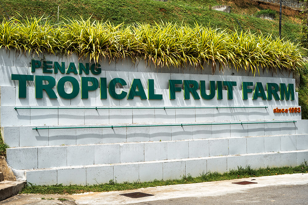 tropical fruit farm