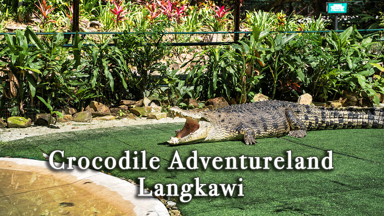【Review】Crocodile Adventureland Langkawi in Malaysia