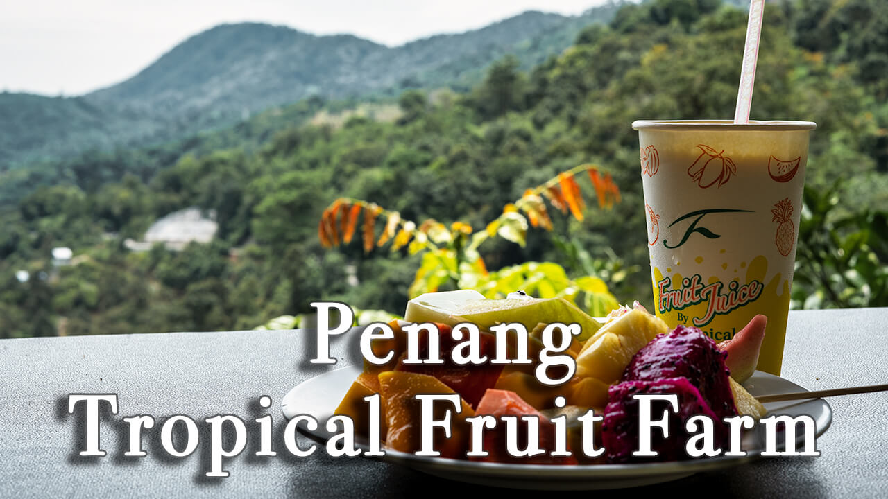 penang tropical fruit farm