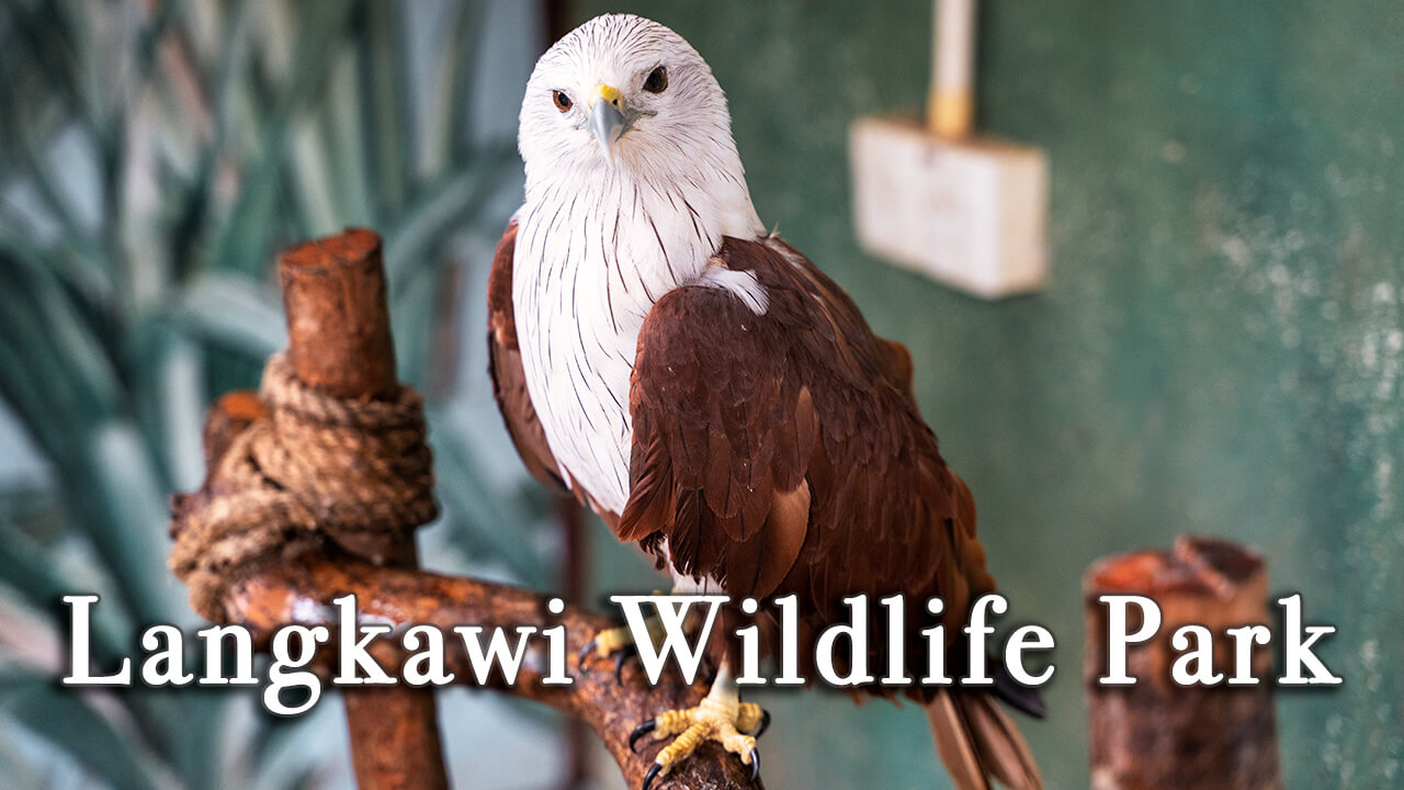 Langkawi wildlife park