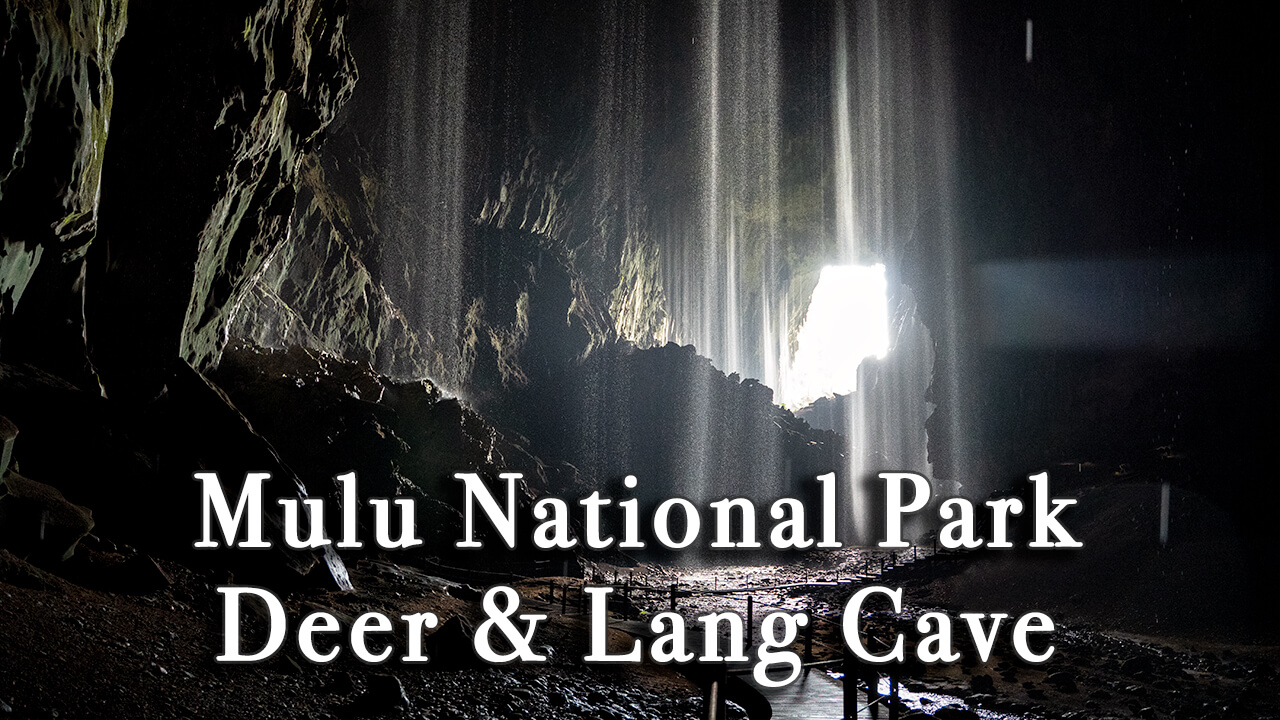 【Review】Deer and Lang Caves in Gunung Mulu National Park Malaysia