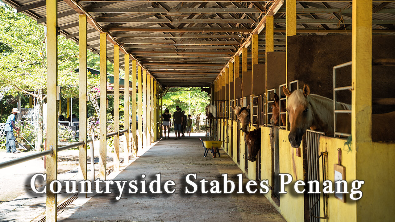 【Review】Countryside Stables Farm Penang Malaysia