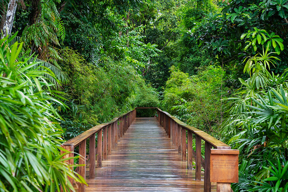 Walkway to the spa in the datai langkawi