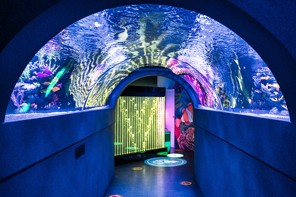 The shore aquarium