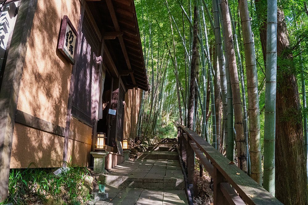 bamboo forest in yama no chaya